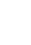 Action Icon