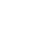 Action Icon